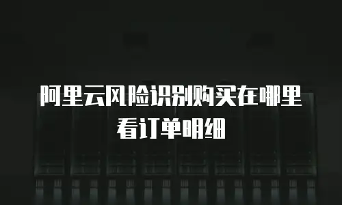 阿里云风险识别购买在哪里看订单明细