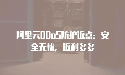 阿里云DDoS防护返点：安全无忧，返利多多