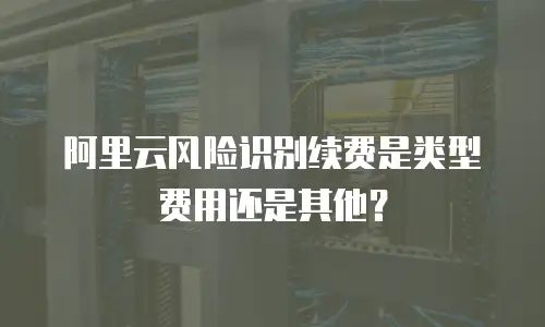 阿里云风险识别续费是类型费用还是其他？