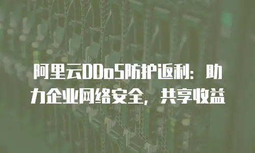 阿里云DDoS防护返利：助力企业网络安全，共享收益