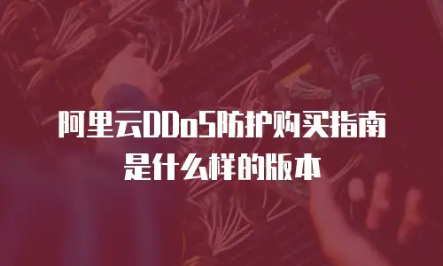 阿里云DDoS防护购买指南是什么样的版本