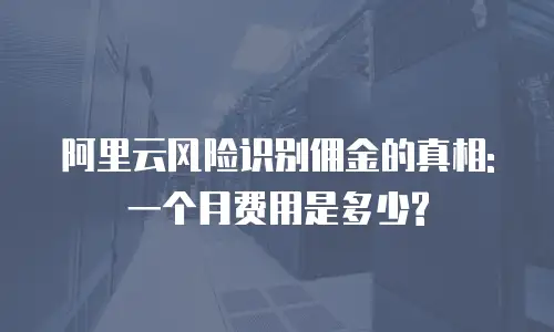 阿里云风险识别佣金的真相: 一个月费用是多少?