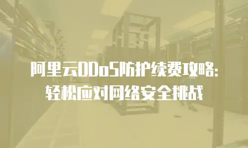 阿里云DDoS防护续费攻略：轻松应对网络安全挑战