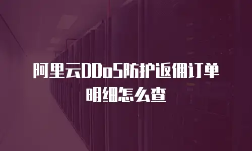 阿里云DDoS防护返佣订单明细怎么查