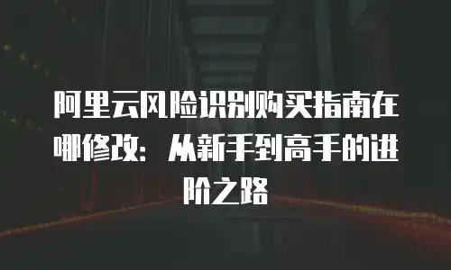 阿里云风险识别购买指南在哪修改：从新手到高手的进阶之路