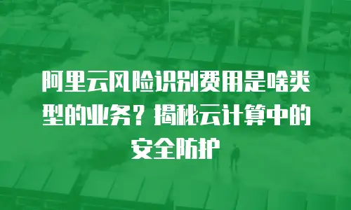 阿里云风险识别费用是啥类型的业务？揭秘云计算中的安全防护