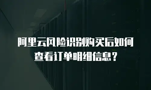 阿里云风险识别购买后如何查看订单明细信息？
