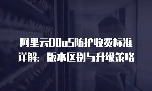 阿里云DDoS防护收费标准详解：版本区别与升级策略