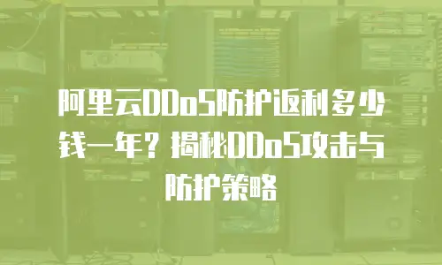 阿里云DDoS防护返利多少钱一年？揭秘DDoS攻击与防护策略