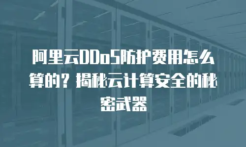 阿里云DDoS防护费用怎么算的？揭秘云计算安全的秘密武器