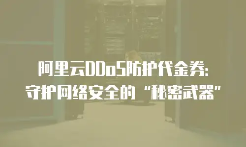阿里云DDoS防护代金券：守护网络安全的“秘密武器”