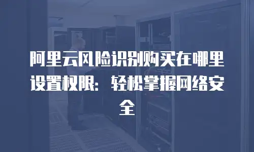 阿里云风险识别购买在哪里设置权限：轻松掌握网络安全