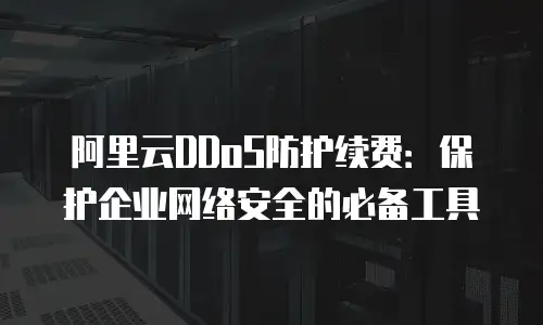 阿里云DDoS防护续费：保护企业网络安全的必备工具