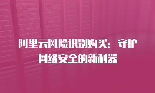 阿里云风险识别购买：守护网络安全的新利器