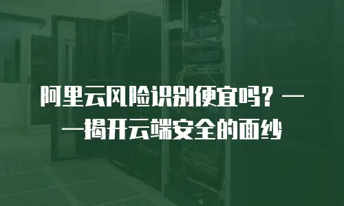 阿里云风险识别便宜吗？——揭开云端安全的面纱