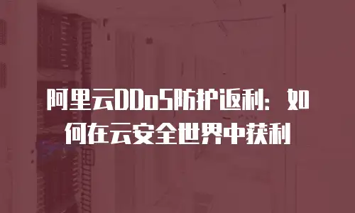 阿里云DDoS防护返利：如何在云安全世界中获利