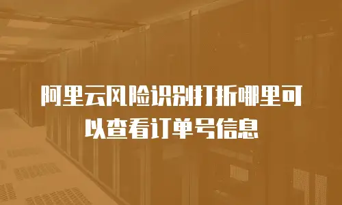 阿里云风险识别打折哪里可以查看订单号信息