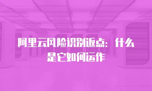 阿里云风险识别返点：什么是它如何运作