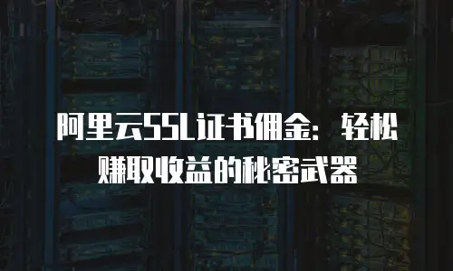 阿里云SSL证书佣金：轻松赚取收益的秘密武器