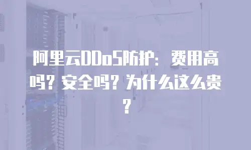 阿里云DDoS防护：费用高吗？安全吗？为什么这么贵？