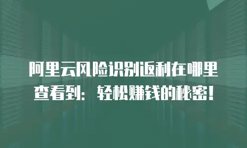 阿里云风险识别返利在哪里查看到：轻松赚钱的秘密！