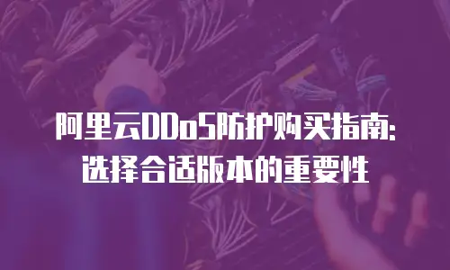 阿里云DDoS防护购买指南: 选择合适版本的重要性