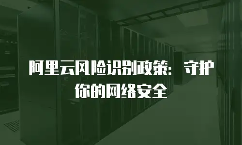 阿里云风险识别政策：守护你的网络安全