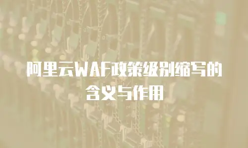 阿里云WAF政策级别缩写的含义与作用