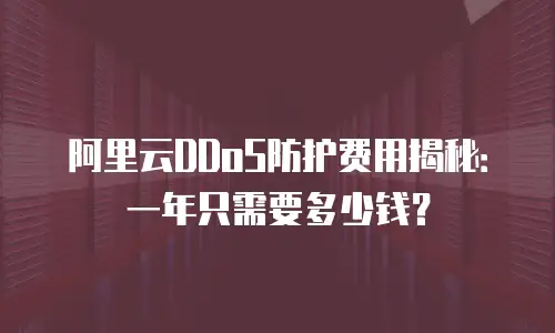 阿里云DDoS防护费用揭秘：一年只需要多少钱？
