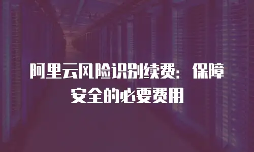 阿里云风险识别续费：保障安全的必要费用
