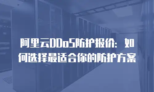 阿里云DDoS防护报价：如何选择最适合你的防护方案