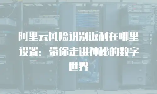 阿里云风险识别返利在哪里设置：带你走进神秘的数字世界
