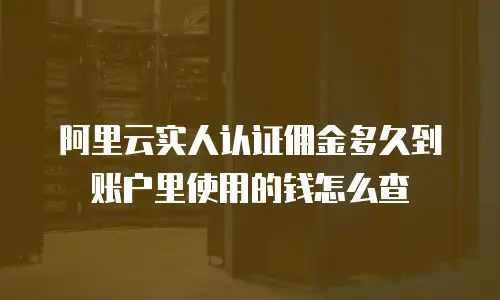 阿里云实人认证佣金多久到账户里使用的钱怎么查