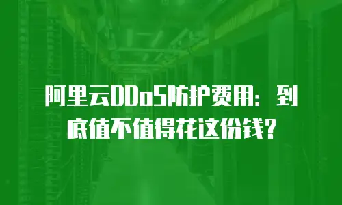 阿里云DDoS防护费用：到底值不值得花这份钱？