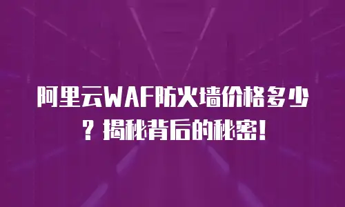 阿里云WAF防火墙价格多少？揭秘背后的秘密！