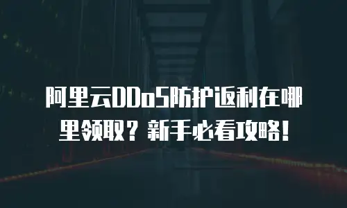 阿里云DDoS防护返利在哪里领取？新手必看攻略！