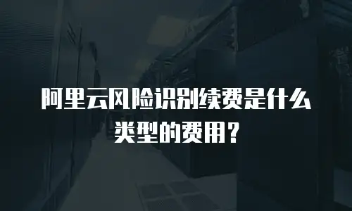 阿里云风险识别续费是什么类型的费用？