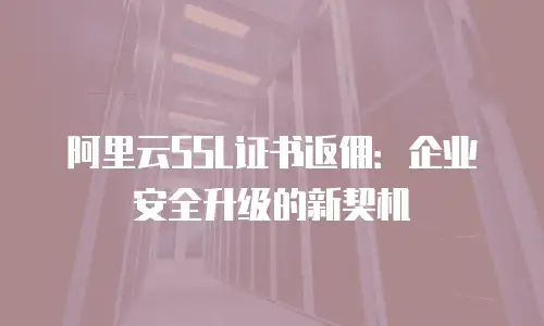 阿里云SSL证书返佣：企业安全升级的新契机