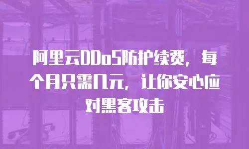 阿里云DDoS防护续费，每个月只需几元，让你安心应对黑客攻击