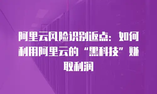 阿里云风险识别返点：如何利用阿里云的“黑科技”赚取利润