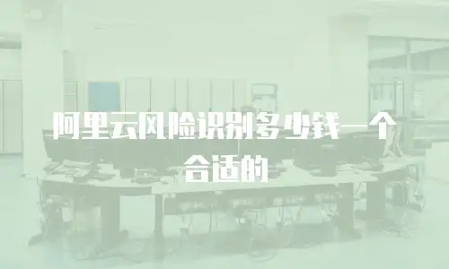 阿里云风险识别多少钱一个合适的