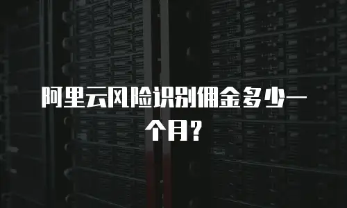 阿里云风险识别佣金多少一个月？