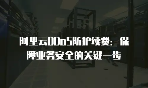 阿里云DDoS防护续费：保障业务安全的关键一步