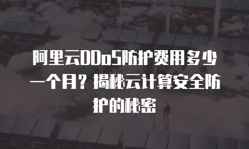 阿里云DDoS防护费用多少一个月？揭秘云计算安全防护的秘密
