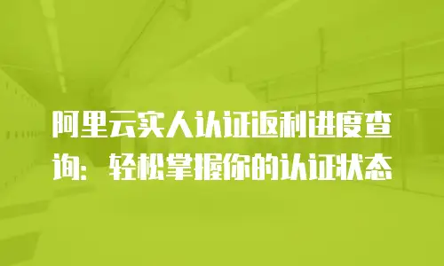 阿里云实人认证返利进度查询：轻松掌握你的认证状态