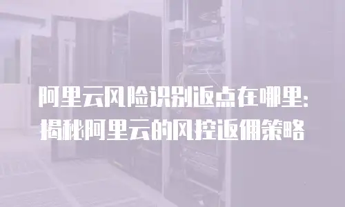 阿里云风险识别返点在哪里：揭秘阿里云的风控返佣策略