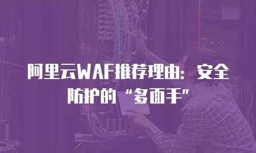 阿里云WAF推荐理由：安全防护的“多面手”