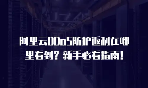 阿里云DDoS防护返利在哪里看到？新手必看指南！