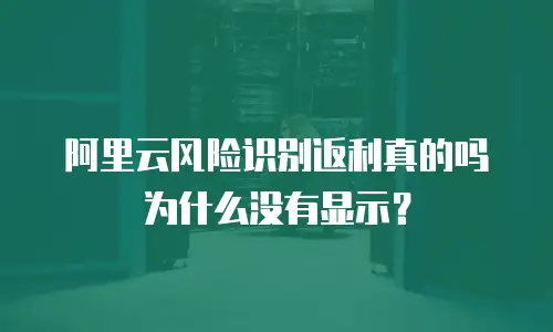 阿里云风险识别返利真的吗为什么没有显示？