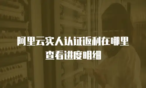 阿里云实人认证返利在哪里查看进度明细